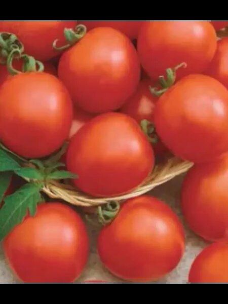 ����� ������� �����: ��� ��������� ��������� ��� ���������� �������