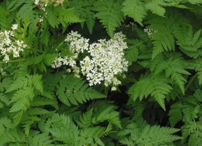 ���������: ��� ��������� ������������ ������� � ����� ����