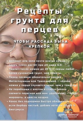 Как подготовить идеальный грунт для рассады перца: три проверенных рецепта