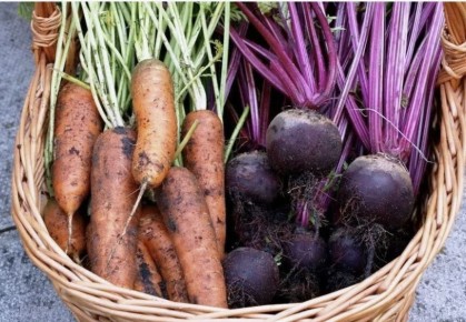 ����� ������� ������� � ������: ������ ��������� � ������� ����� ������