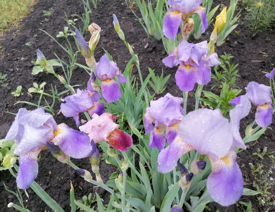 ��� ��������� ������ � ������������ ����� ������: ������ ��� �������� �������