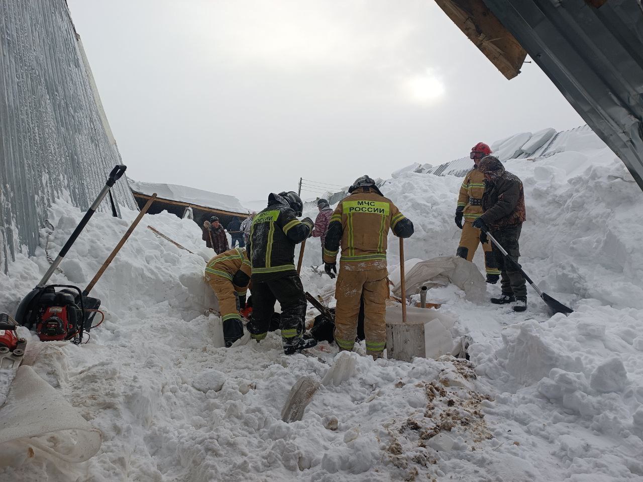 30 коров оказались под снежными завалами при обрушении крыши коровника в селе Турецкое Балезинского района