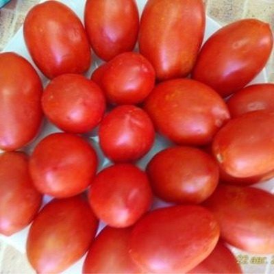 ����� �������: ��������� ������ �� ������� ������ � �����������