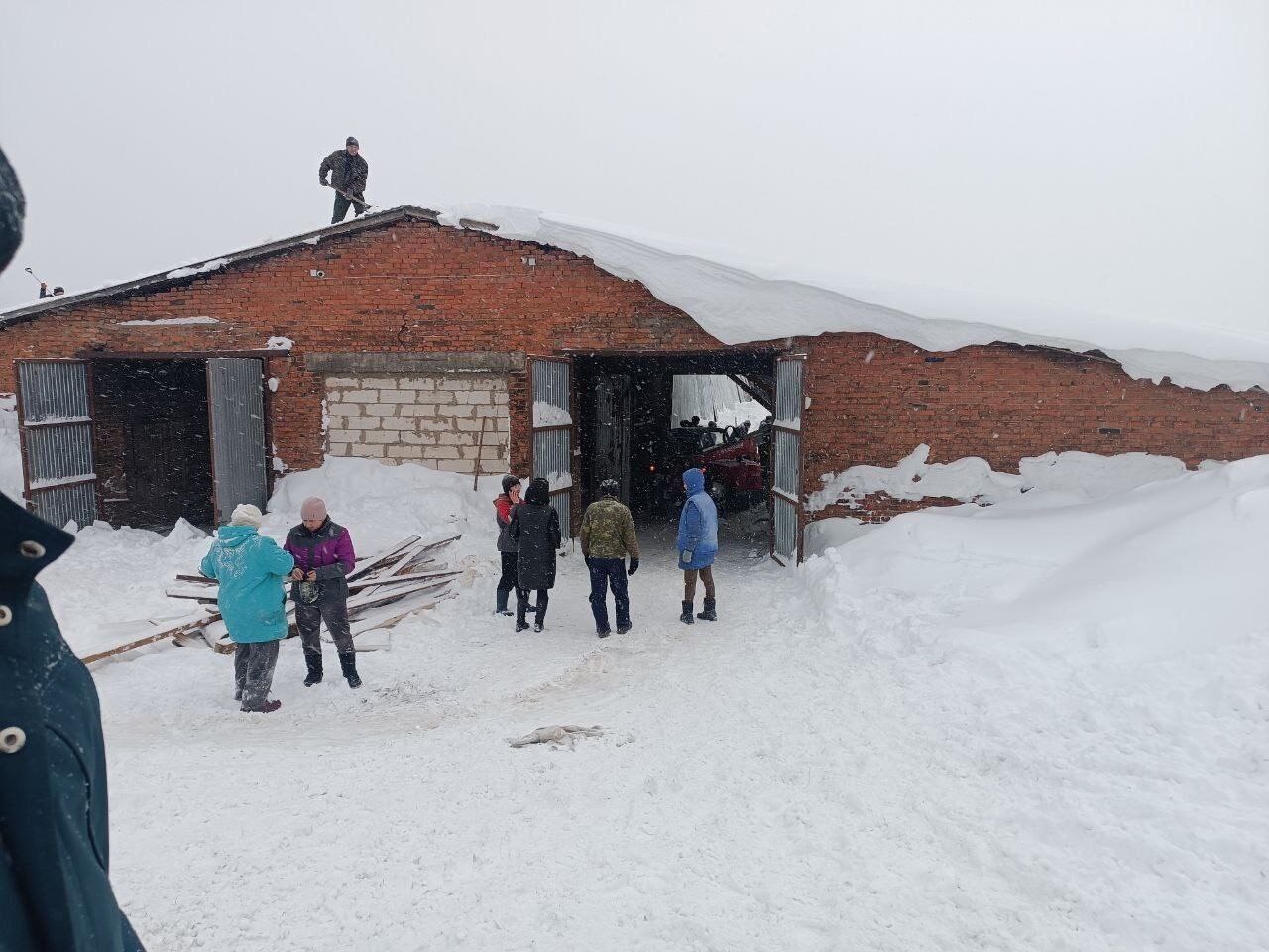 30 коров оказались под снежными завалами при обрушении крыши коровника в селе Турецкое Балезинского района 30 коров оказались под снежными завалами при обрушении крыши коровника в селе Турецкое Балезинского района