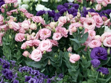 ����� ������� � ������: ���� � ���������� �������� �����