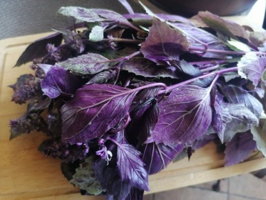 ��� ������� ����� ������ ������: �� �������� �� �����