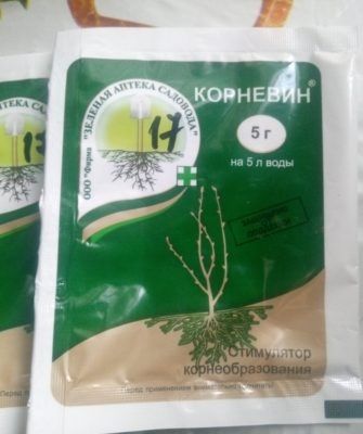 ��� ������� ������� �����: ����������� ������ ��� ��������� �����