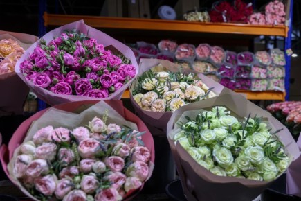 ������� ������� �� �������: ��� ������ ������ ��������� ��������� ������� ������� � ����������