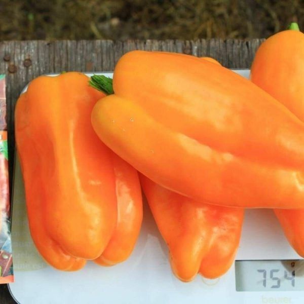 Перец Золотой поток: яркие кубики с отменным вкусом для вашего огорода