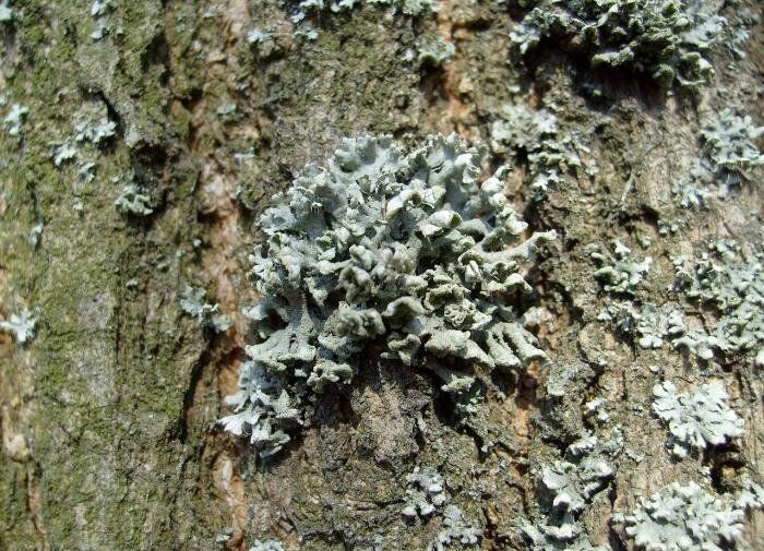 ��� �������� �������� ����� �������� � ��� � ��� ��������