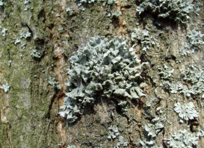 ��� �������� �������� ����� �������� � ��� � ��� ��������