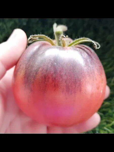 ����� ������� �������: �������� ������ ������� � ��������� ��������� ������