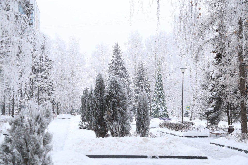 По данным Удмуртского ЦГМС, ночью 21 февраля местами по республике ожидается сильный снег, ухудшение видимости при осадках 500м и менее