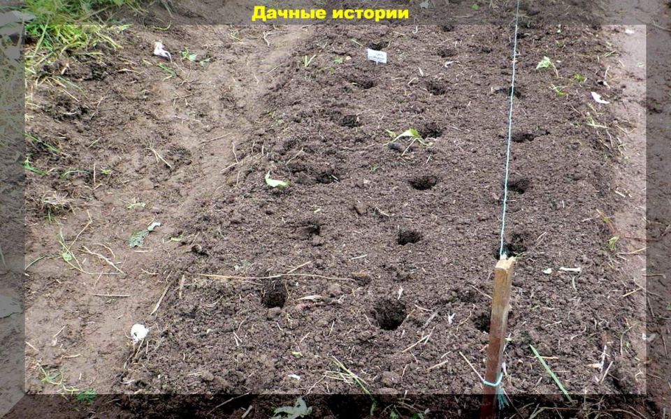 ��� ��������� ����������� ������ ��� ������ ��� �������� ������