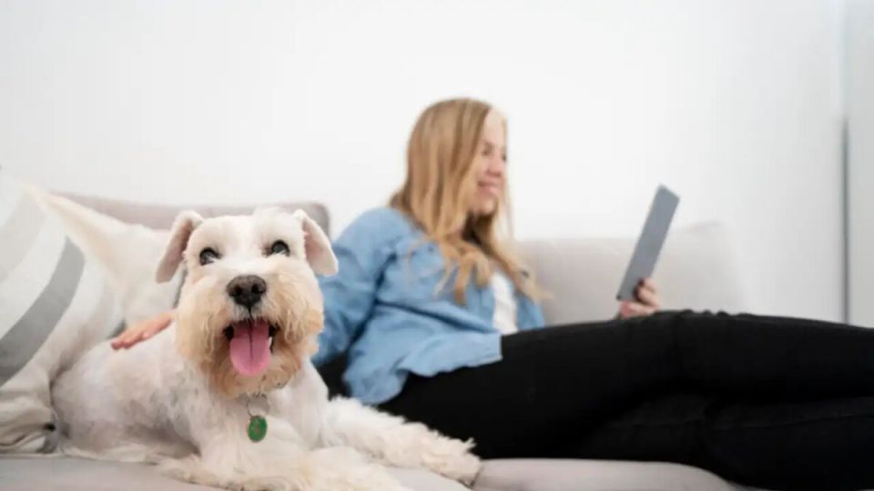 ����� ����� � ������ ��������: ����� �������� � ��� ������ ������