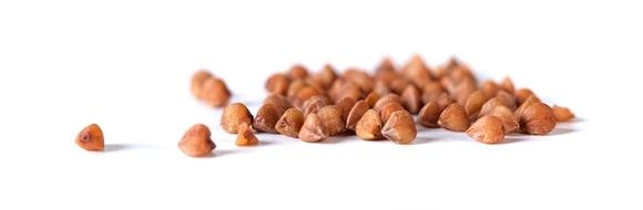 ��������� ����: ��� ������, ������� �������� �������� � ��������