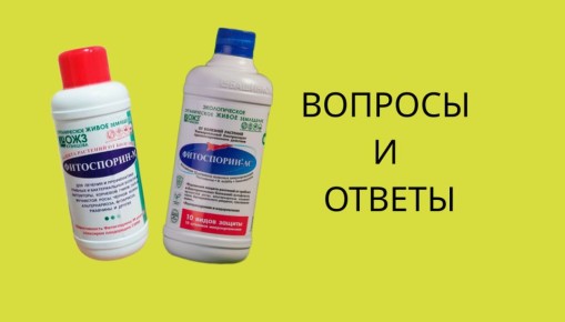 ����������: ������ �� ����� ���������� ������� �������������