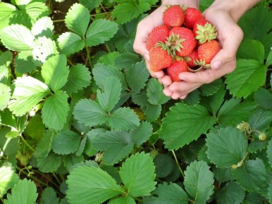 ��� �������� ������� ��������� ����� �� ���������