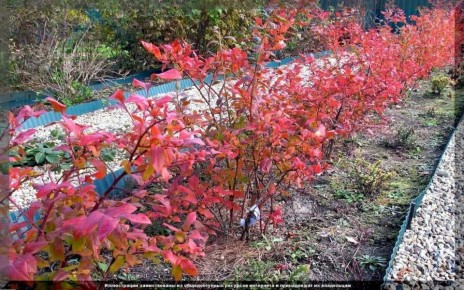 ��������: ������� ��������� ����� � ������ �� �����������