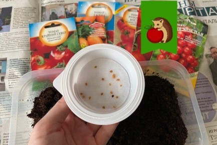 ��������� ��� ��� ������ ���������: ����� � ������ ����� �����?