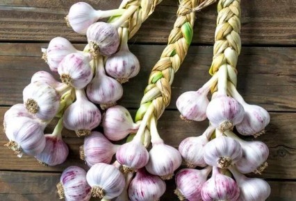 ������ �� �������� ������� �����: ��� ��������� �������� �� �����