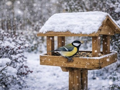 ��� ��������� ��� � ������ ������: �������� ������ ��� ���������