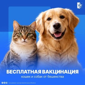 �������� ����� ��������� ������������� ������ ������������� �������