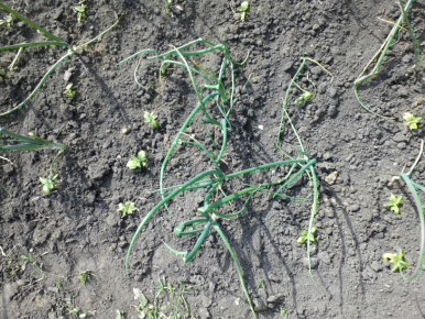 ��� �� �����: ������������� ����� � ���� �������� �������