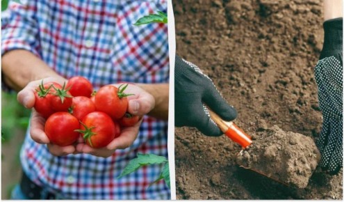 ��� ����� �������� �������� ������ �������: ������������ ������ ��� ��������