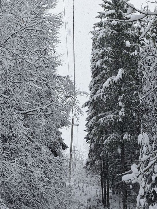 Местами в Якшур-Бодьинском районе Удмуртии наблюдается отключение электричества из-за мокрого снега, сообщает пресс-служба администрации района