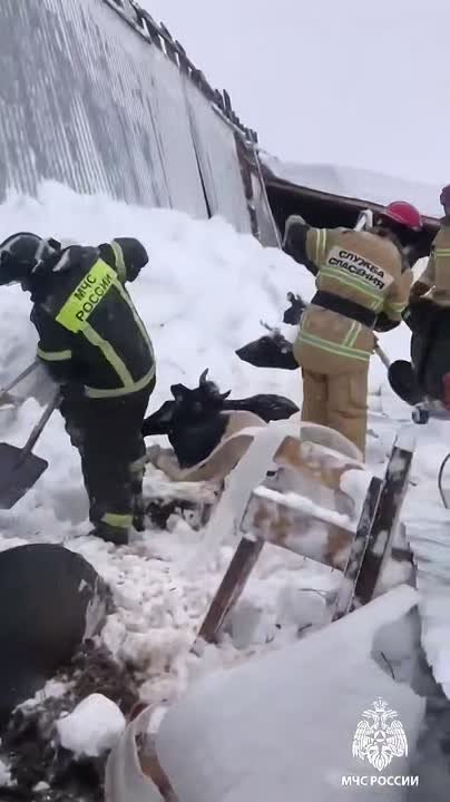 11 крыш обрушились в Удмуртии за полмесяца из-за неубранного снега