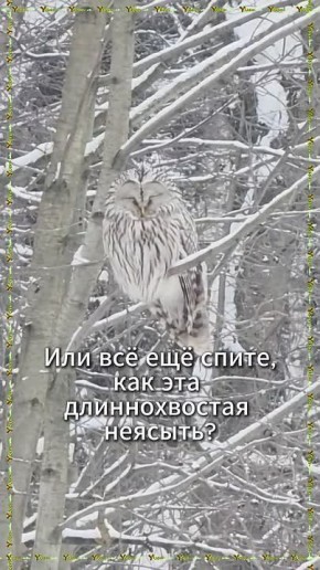 ������ ����, ������! ���� ��������! ��� �� ��� �����, ��� ��� ������������� �������?