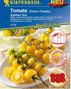 ��� ������� ������� ������: 5 ������ ��������, ����� �������� ������