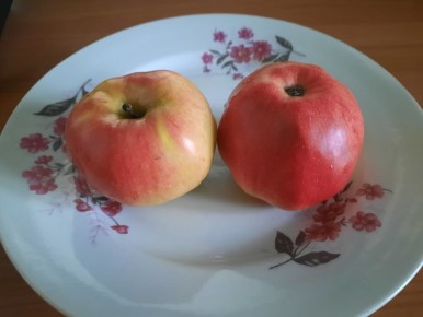 ������ ���� ����� ������� �������� ����� ������� ������������� � ���������