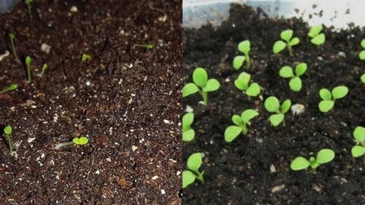 ��� �������� ��������� ��������� �������: 6 �������� ��������� ������