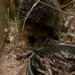 � ������� ����� ������ ����������� ����� ������ ������, �������� � �����-������ ��������� ��������