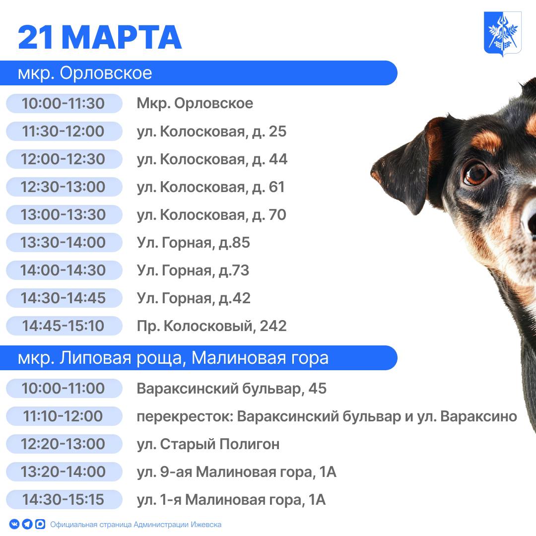 В Ижевске организованы бесплатные выездные пункты вакцинации домашних животных от бешенства В Ижевске организованы бесплатные выездные пункты вакцинации домашних животных от бешенства