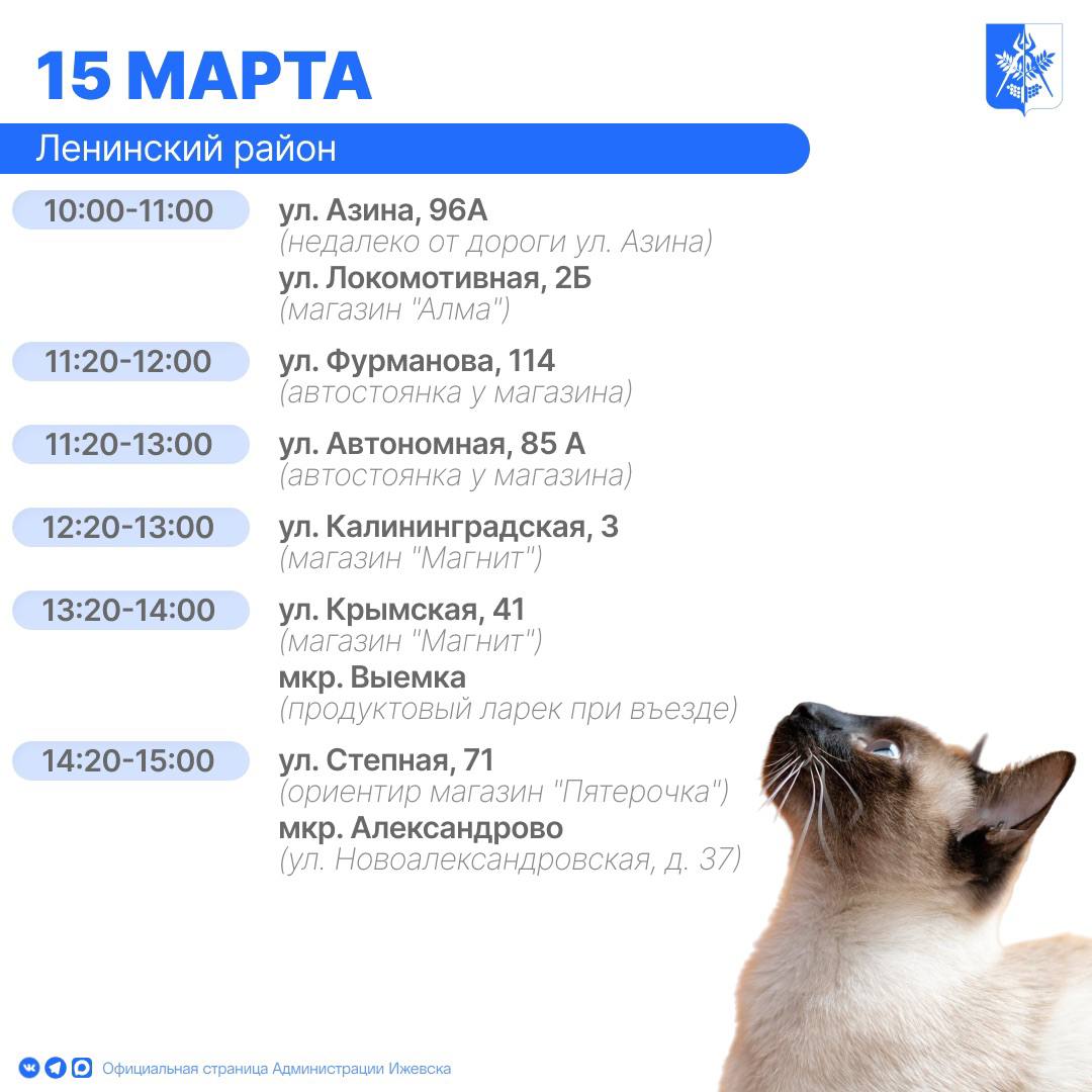 В Ижевске организованы бесплатные выездные пункты вакцинации домашних животных от бешенства В Ижевске организованы бесплатные выездные пункты вакцинации домашних животных от бешенства