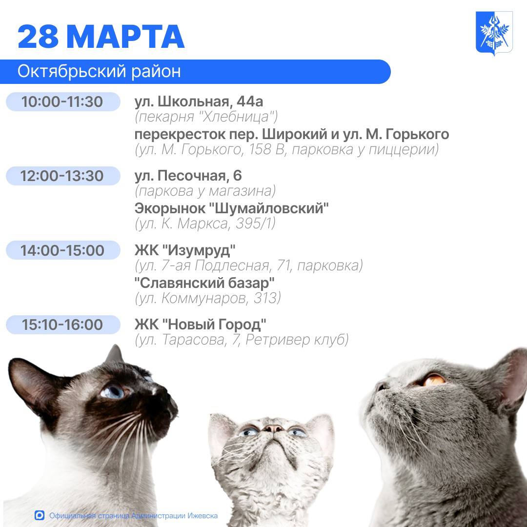 В Ижевске организованы бесплатные выездные пункты вакцинации домашних животных от бешенства В Ижевске организованы бесплатные выездные пункты вакцинации домашних животных от бешенства