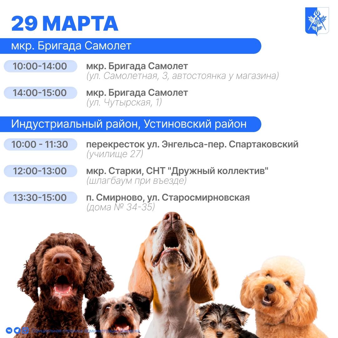 В Ижевске организованы бесплатные выездные пункты вакцинации домашних животных от бешенства В Ижевске организованы бесплатные выездные пункты вакцинации домашних животных от бешенства