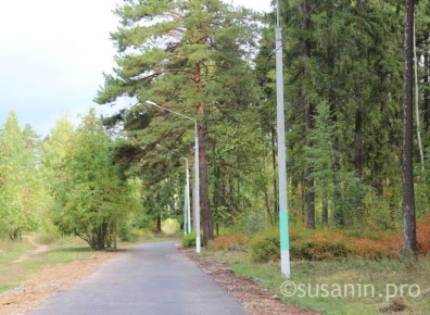 Ижевчане могут повлиять на будущую реконструкцию парка Кирова