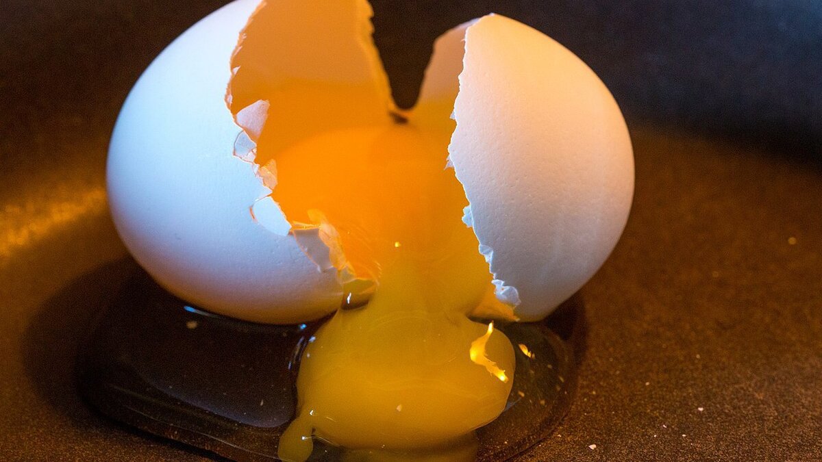 Необычные способы использования яичной скорлупы на даче