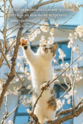 Наконец-то весна!. Всем отличного настроения и бодрой рабочей недели #настроение_недели