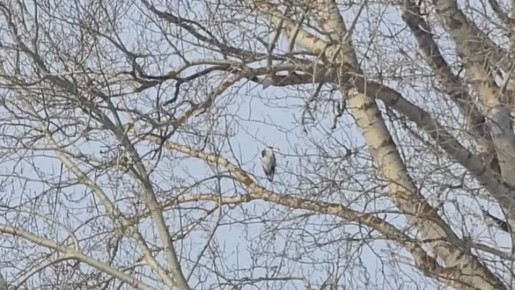 � �������� ����� ������ �������� �� �� ������ ������������ �����, �������� ����� ��-������ �������� ������������ ��������� ��������