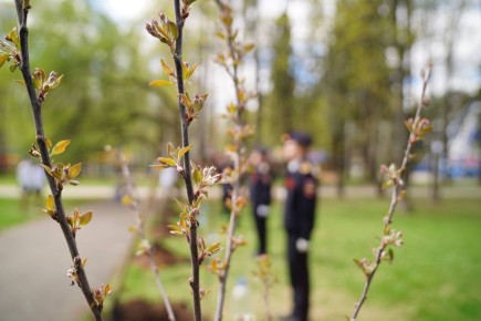 � �������� ������� � ����������� ������������ ����� � ������������� ������� �� 2025 ��� ������� �������� ������ �������� ������ ��������� ���������� ������������ � �� �����