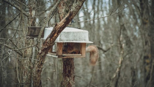 В Удмуртии сохраняется «апрельское» тепло