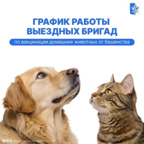 В Ижевске продолжают работать бесплатные выездные пункты вакцинации домашних животных от бешенства