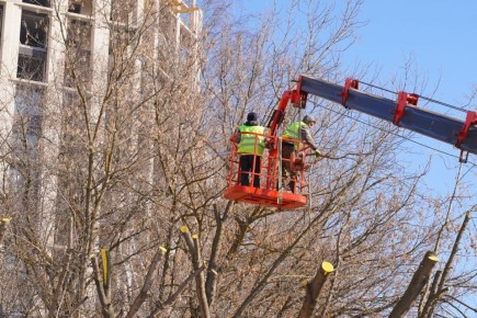 � ������������ ������� ��������� ������� � ������� �������� �������� ������� ��������