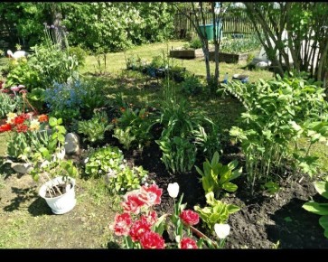 �����, ������� ������ ������� ���������� ����� ������