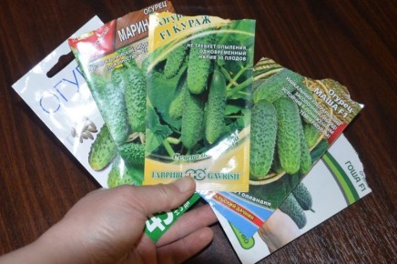 ����������� ���������� ����� ������� � ������: ������� ������